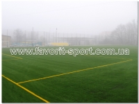 Футбольное поле с искусственной травой Детская спортивная академия г.Львов